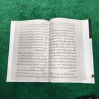 The Lessons of History will & Durant انسانی تاریخ کے سبق